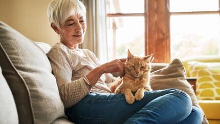 Chat sur les genoux de son maître