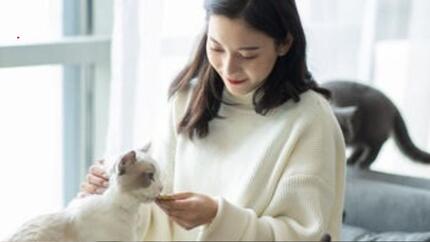 Les chats peuvent-ils manger du porc ?