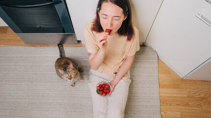 Les chats peuvent-ils manger des fraises ?