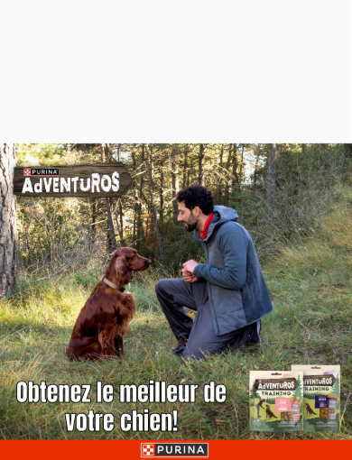 Adventuros FR - Mobile