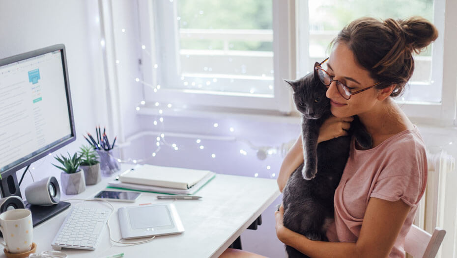 Femme chat câlins devant le bureau