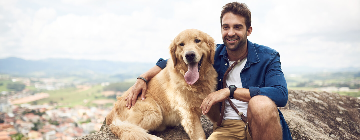 Verbergen Bezet elleboog Reizen met je hond: de volledige gids | Purina®