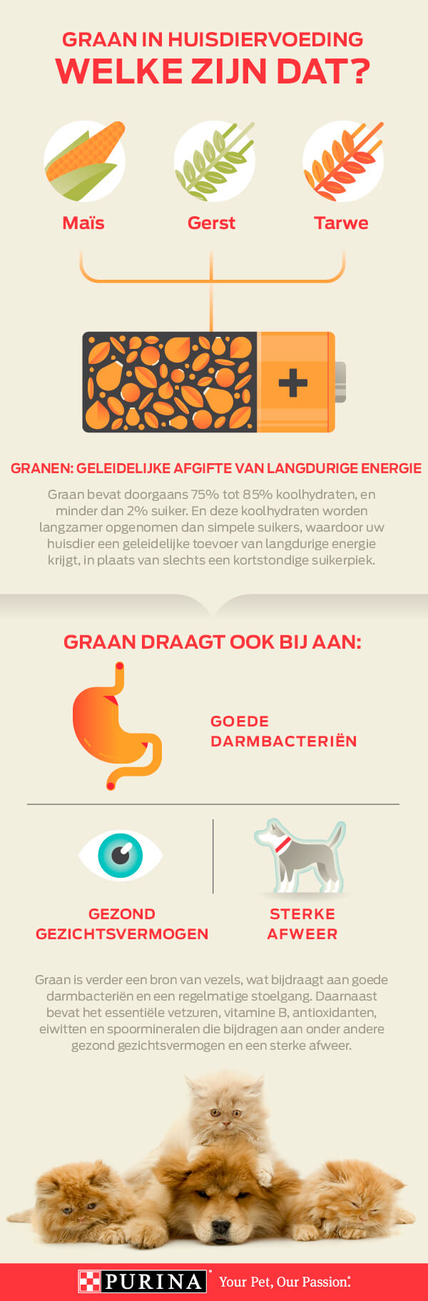 Grains Infographic NL