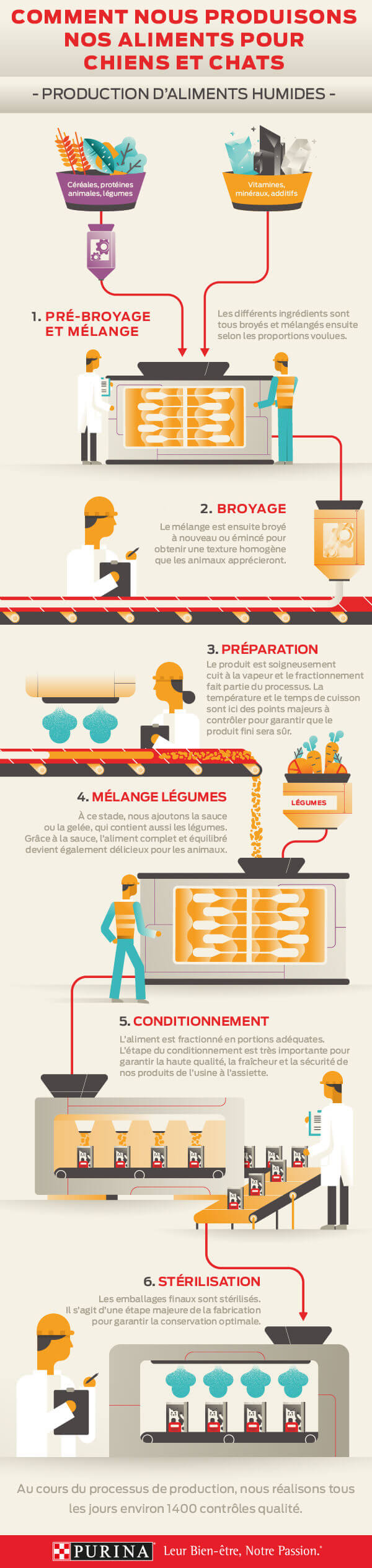 Infographie de la nourriture humide