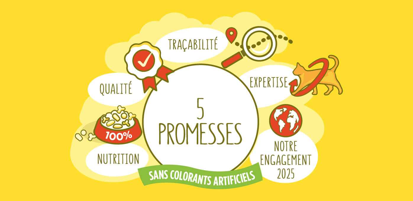 Les 5 promesses de Friskies chat