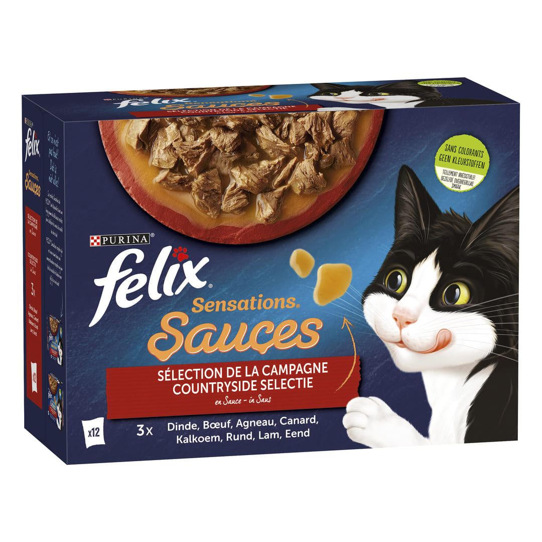FELIX Gelée de viande pour chats adultes FELIX - 12x100 g