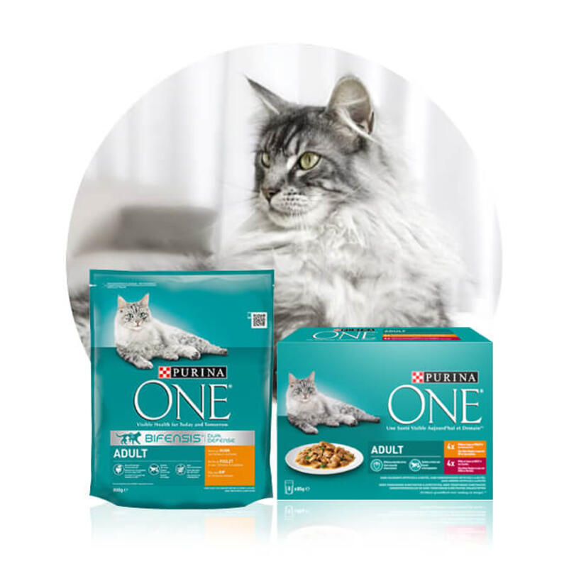 Purina ONE Gecombineerde Voeding Volwassen Kat