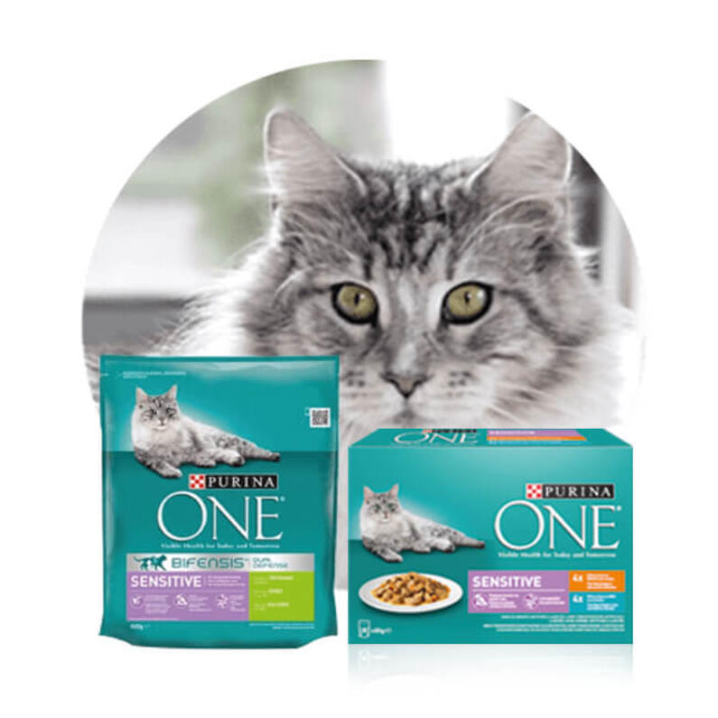 Purina ONE Gecombineerde Voeding Sensitive voor gevoelige katten