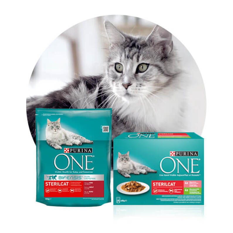 Purina ONE Gecombineerde Voeding Sterilcat voor gesteriliseerd katten