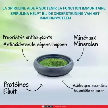 Spirulina helpt bij de ondersteuning van het immunnsysteem: antioxiderende eigenschappen, mineralen, eiwit, essentiële vetzuren