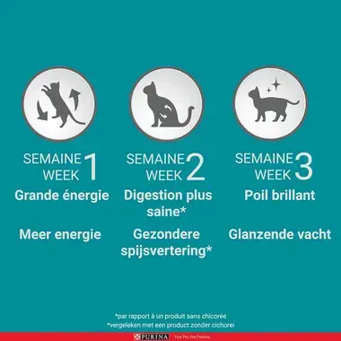 Purina ONE® Urinary Care Croquettes pour chat avec problème urinaire au poulet