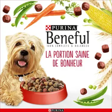 Beneful Croquettes La Portion Saine De Bonheur