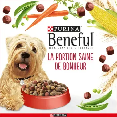 Beneful Croquettes La Portion Saine De Bonheur