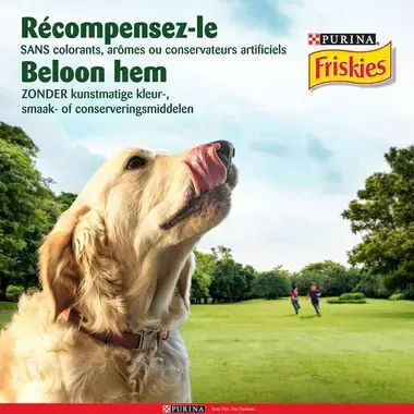 Récompenses pour votre chien sans colorants, arômes et conservateurs artificiels