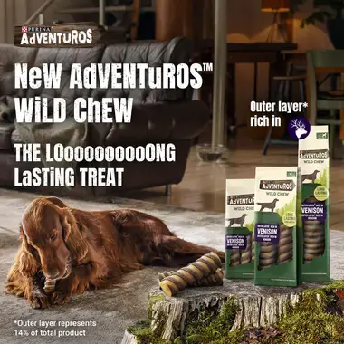 Purina® AdVENTuROS™, un délicieux bâtonnet à mâcher longue durée