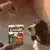 Hond kijkt naar Purina® AdVENTuROS™ hondensnack met buffel 