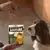 Hond kijkt naar Purina® AdVENTuROS™ hondensnack met kalkoen