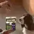 Hond kijkt naar Purina® AdVENTuROS™ hondensnack met hert