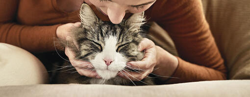 Femme penchée au-dessus du chat pour un baiser