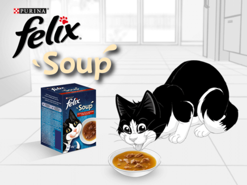 FELIX® Alimentation humide et friandises pour chats fûtés