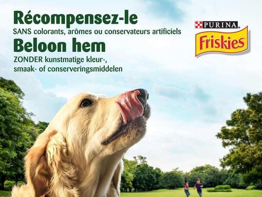 Récompensez-le Friskies Dog