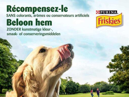 Beloon hem Friskies Hond