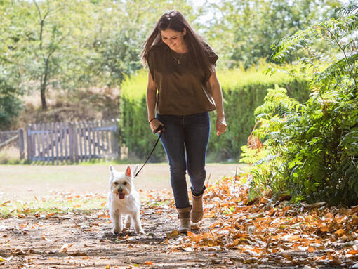 Vrouw die met een hond buiten loopt