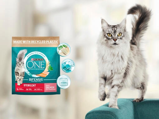 Purina ONE Bifensis