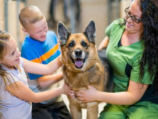 hond geknuffeld door eigenaar en kinderen