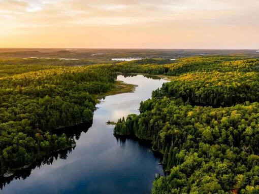 luchtfoto van het bos- en rivierlandschap