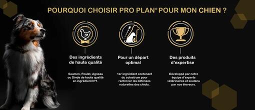 PRO PLAN Chien Small & Mini Puppy Healthy Start pour chiot