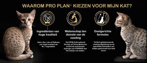 pro plan kat