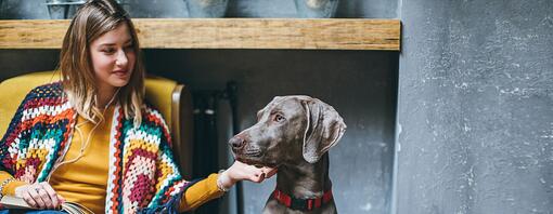 Oudere hond met baasje