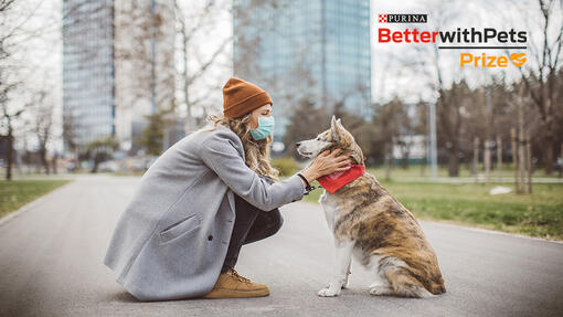 vrouw die een hond aait