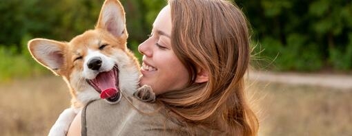 Corgi assis dans la main de son propriétaire