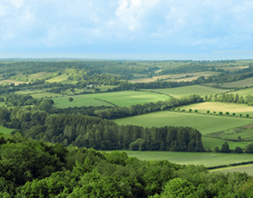 Landbouw landschap