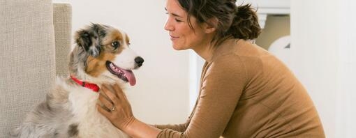 Maitre et chien ensemble