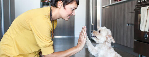 vrouw die een hond een high five geeft in de keuken