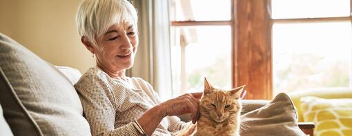 Kat op schoot bij zijn baasje