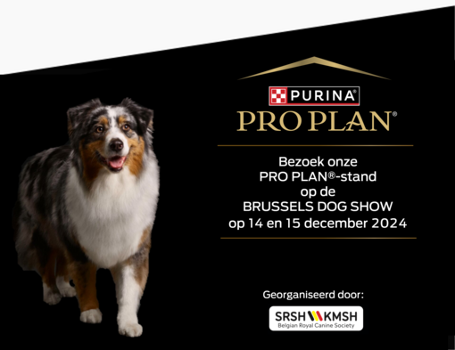 Pro Plan BDS