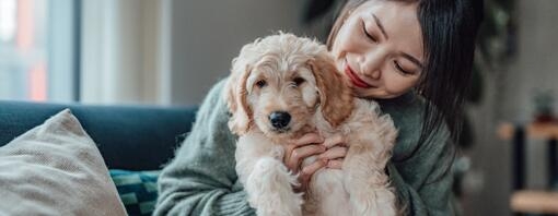 witte pup in handen van zijn baasje 