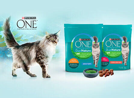 Purina One