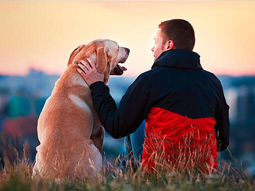 De man zat buiten met Labrador