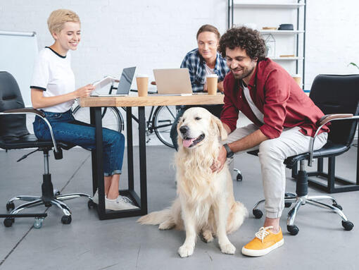 Golden retriever zat aan het bureau terwijl de groep werkt