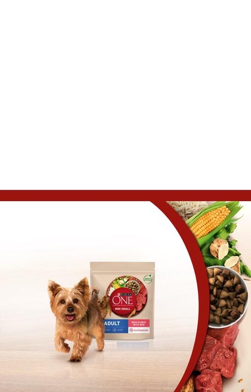 Purina One Mini Desktop Banner